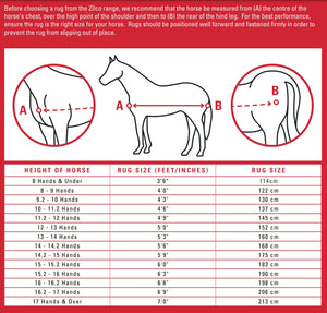 Zilco Econo Air Combo