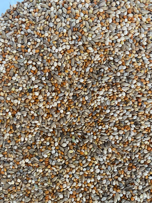 Avigrain Blue Finch Mix
