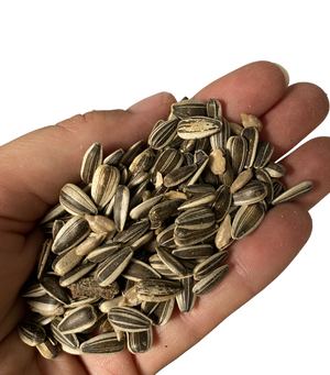 Avigrain Sunflower Grey Stripe