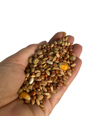 Avigrain Pigeon Mix