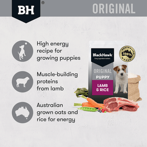 Black Hawk Puppy Large Breed Lamb and Rice Dry Dog Food