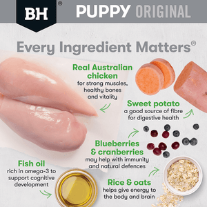 Black Hawk Puppy Small Breed Chicken and Rice Dry Dog Food