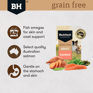 Black Hawk Grain Free Adult Salmon Dry Dog Food