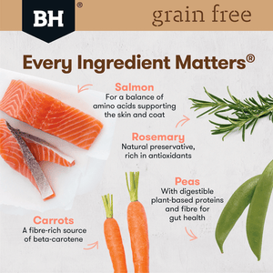 Black Hawk Grain Free Adult Salmon Dry Dog Food