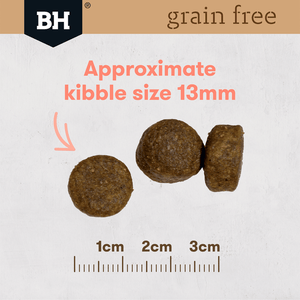 Black Hawk Grain Free Adult Salmon Dry Dog Food