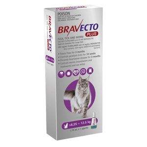 Bravecto Plus for Large Cats 6-12kg Purple