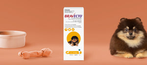 Bravecto Spot On for Extra Small Dogs 2-4.5kg Yellow