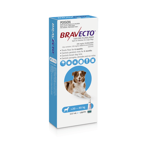 Bravecto Spot On for Large Dogs 20-40kg Blue