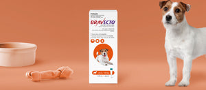 Bravecto Spot On for Small Dogs 4-10kg Orange
