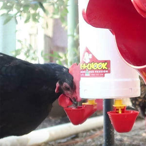 Dine A Chook Poultry Drinker 4L - Twin Cup