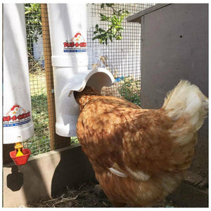Dine A Chook Poultry Feeder 4.7L
