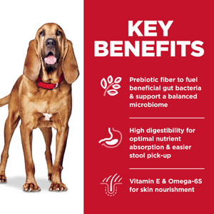 Hills Science Diet Adult Large Breed Sensitive Stomach and Skin Dry Dog Food