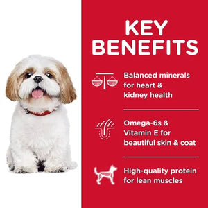 Hills Science Diet Senior Adult 7+ Small Bites Dry Dog Food