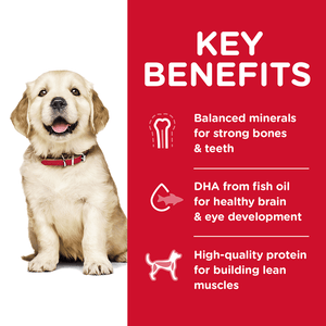 Hills Science Diet Puppy Large Breed Dry Dog Food