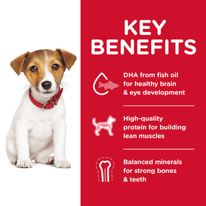 Hills Science Diet Puppy Small Bites Dry Dog Food