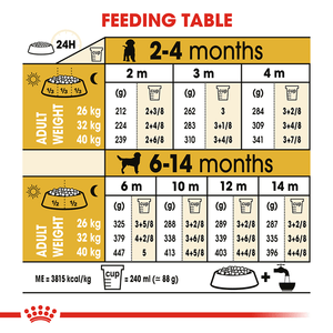 Royal Canin Labrador Puppy Dry Dog Food