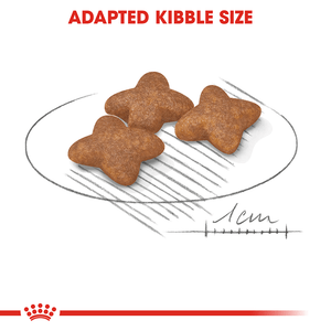 Royal Canin Mini Adult Dry Dog Food