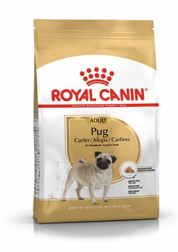 Royal Canin Pug Adult Dry Dog Food
