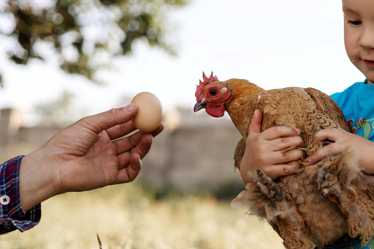 An Egg-splosion this Spring!