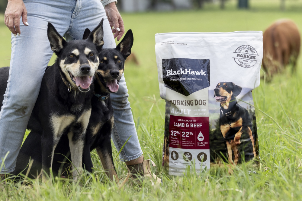 The Top 5 Ingredients in Black Hawk Dog Food Brookies Rural Traders