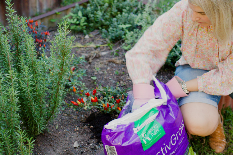 Summer Garden And Lawn Care: Summer Gardening Tips