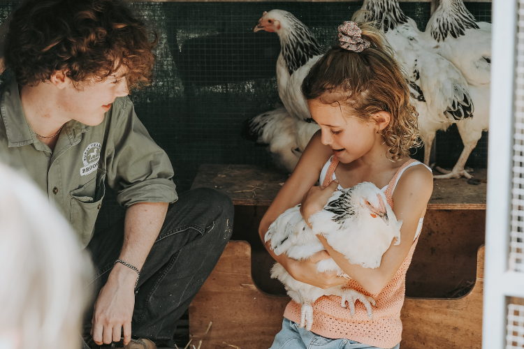 Chicken Keeping With Kids