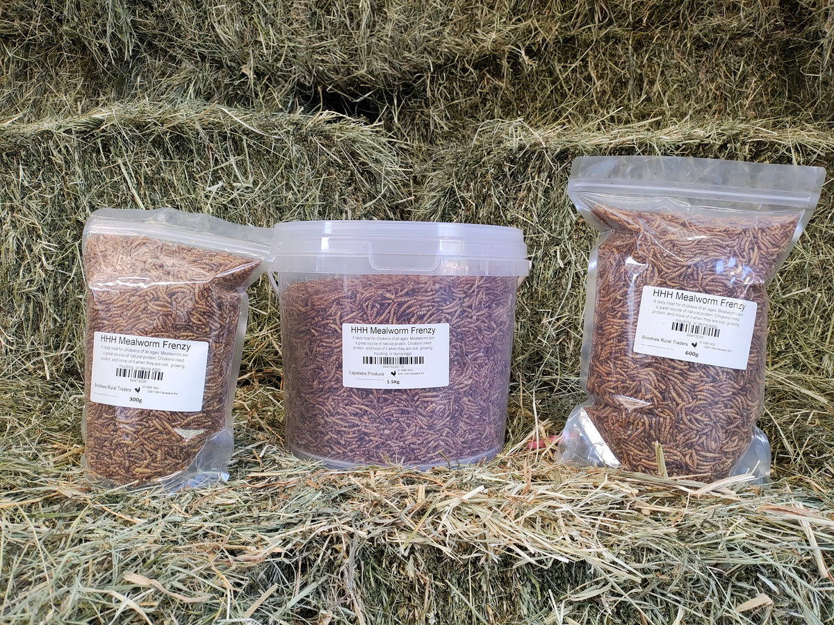 Happy Healthy Hens Mealworm Frenzy