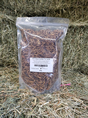 Happy Healthy Hens Black Soldier Fly