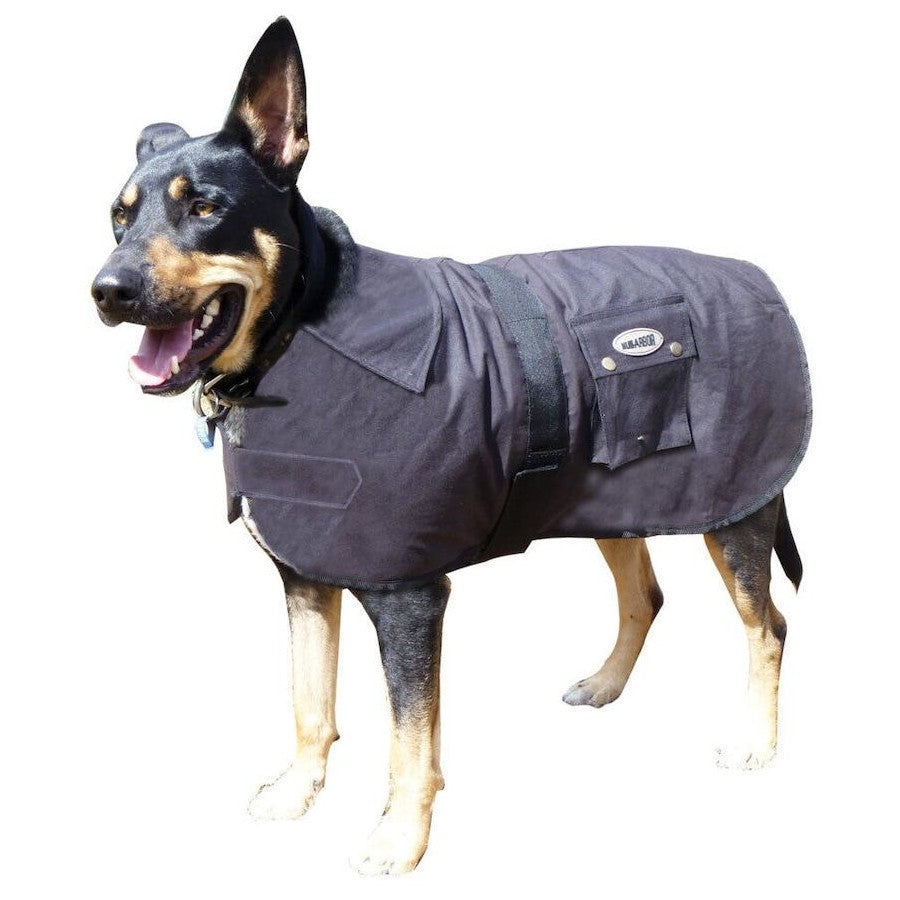 Nullarbor Oilskin Dog Coat 25cm
