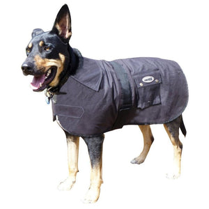 Nullarbor Oilskin Dog Coat 25cm