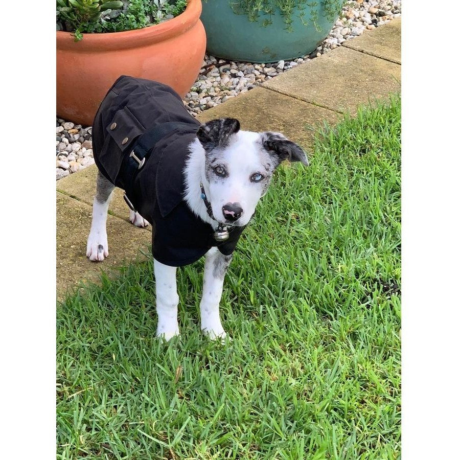 Nullarbor Oilskin Dog Coat 25cm