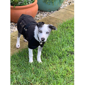 Nullarbor Oilskin Dog Coat 25cm