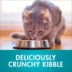 Purina One Indoor Dry Cat Food