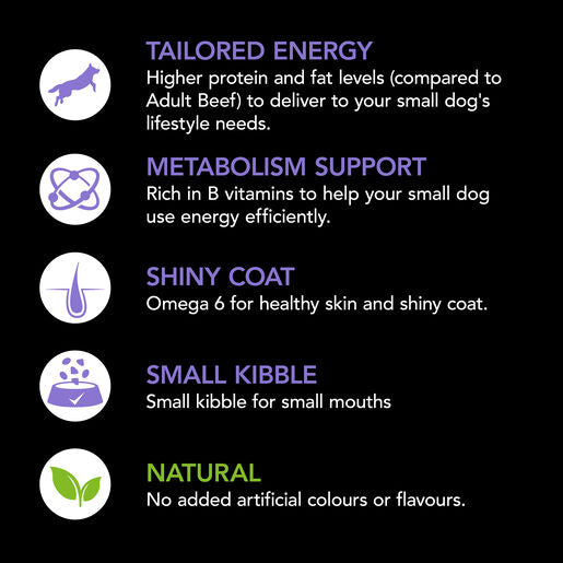 Supercoat Small Breed Beef Dry Dog Food