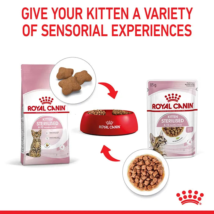 Royal Canin Sterilised Kitten in Gravy Wet Cat Food