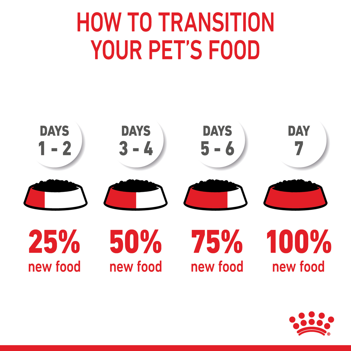 Royal Canin Kitten Chunks in Gravy wet cat food – food transition guide