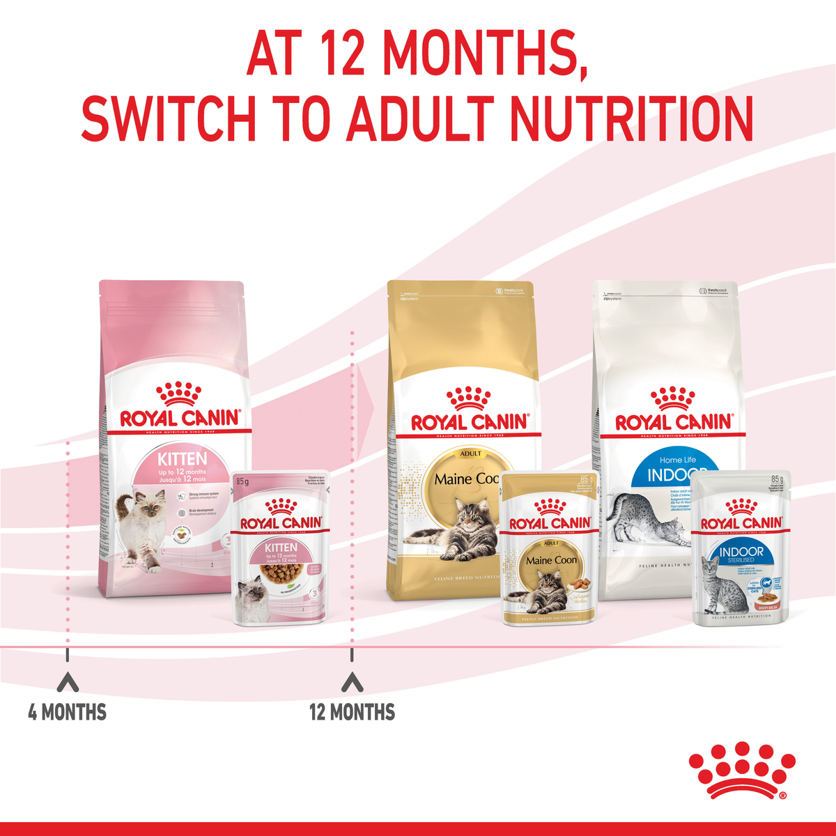 Royal Canin Kitten Chunks in Gravy wet cat food – "Switch to adult nutrition" benefit panel