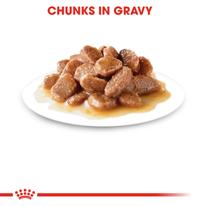 Royal Canin Cat Adult Instinct Gravy wet cat food – "Chunks in gravy" benefit panel