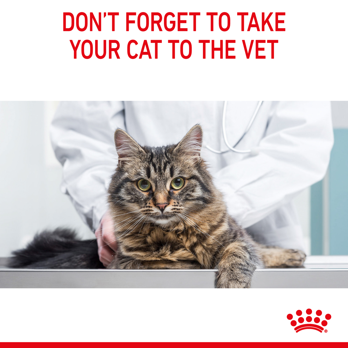Royal Canin Cat Appetite Control Gravy wet cat food – vet check reminder