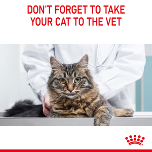 Royal Canin Cat Appetite Control Gravy wet cat food – vet check reminder