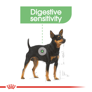 Royal Canin Digestive Care wet dog food – "Digestive" benefit panel