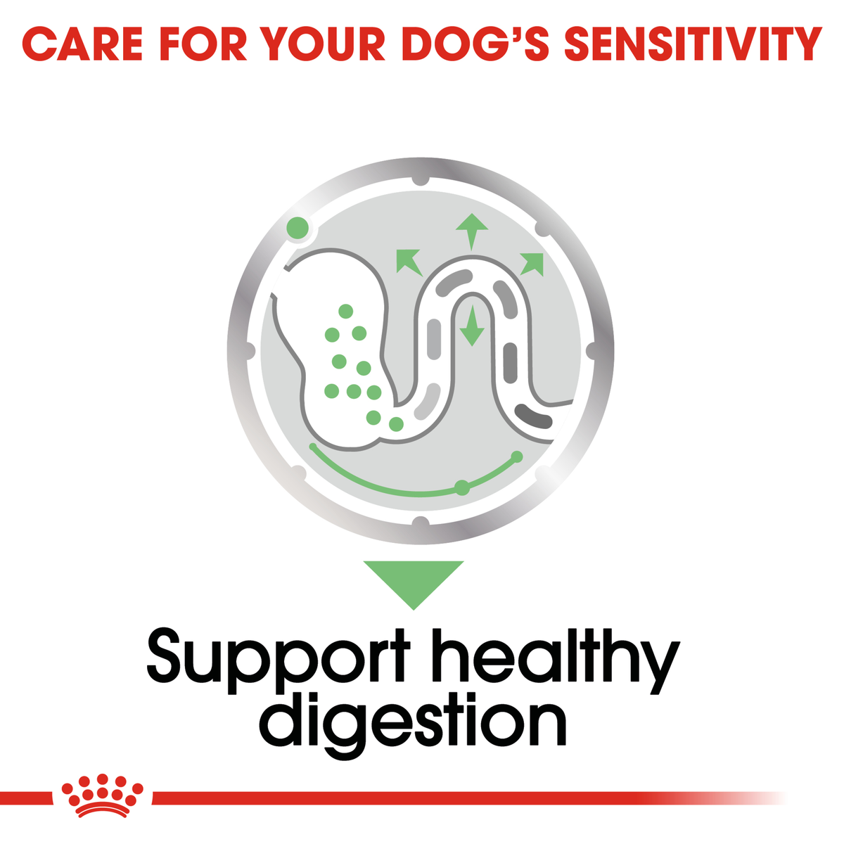 Royal Canin Digestive Care wet dog food – "Care for your dog's sensitivity" benefit panel