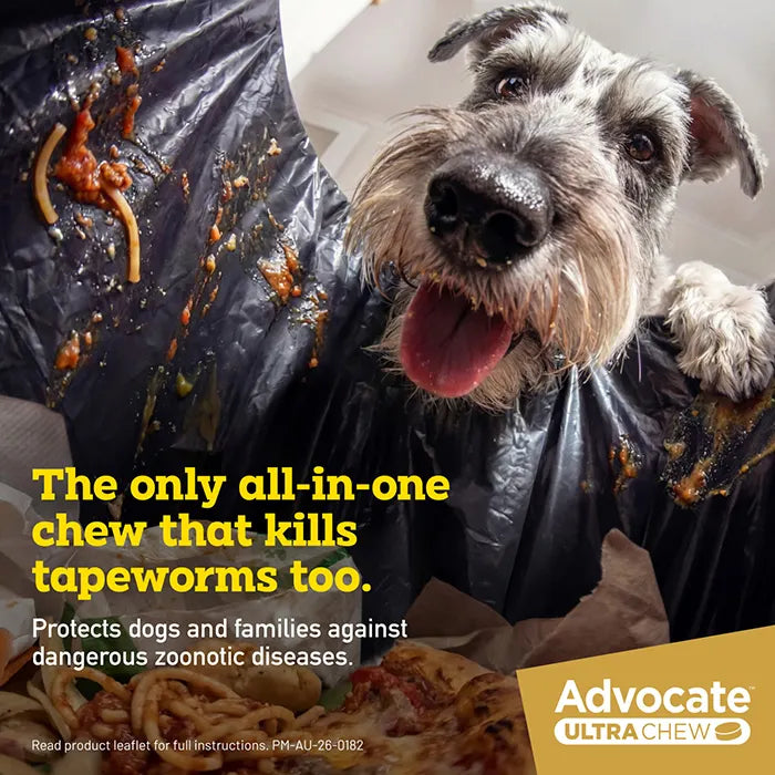 Advocate Ultra Chew Medium 5.5-11Kg Orange