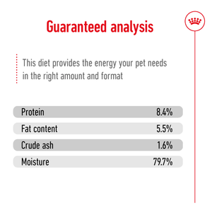 Royal Canin Medium Ageing wet dog food – lifestyle photo