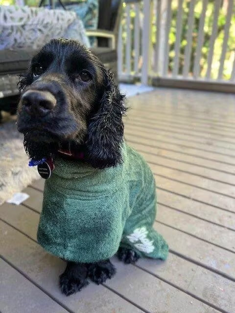 Brookies Dog Robe