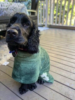 Brookies Dog Robe