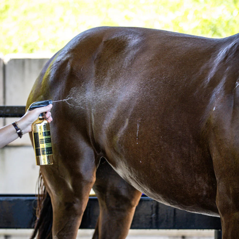 Hairy Pony Pre-Mixed Essential Oil Coat Conditioner