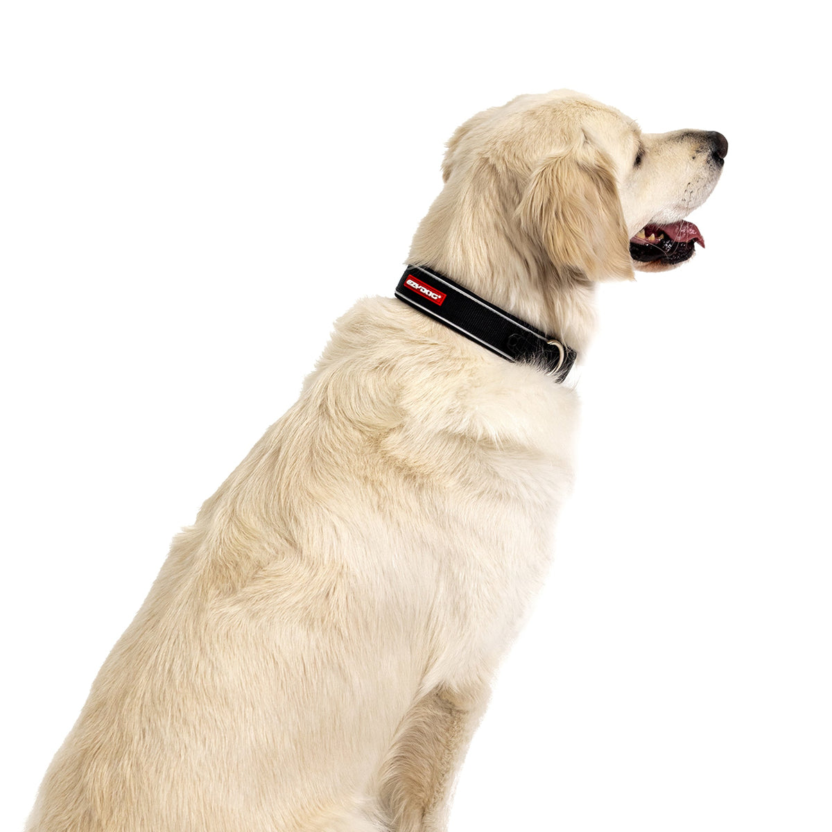 Ezydog Collar Classic