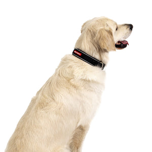Ezydog Collar Classic