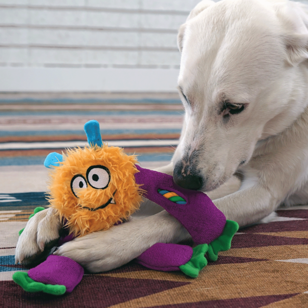 KONG Sneakerz Knots Dog Toy